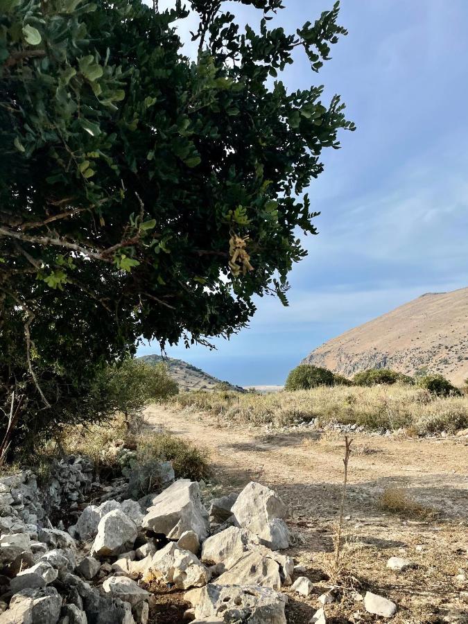 Conte125 Villa Cinisi Luaran gambar
